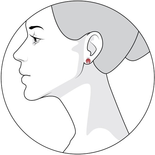 Kinderohrringe Marienkäfer Sterlingsilber 925 rhodiniert – Bild 4